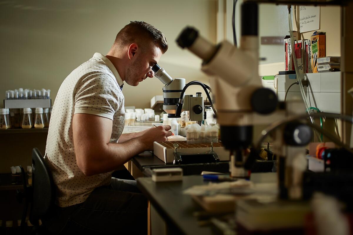 Vlad Zhitny, Biology major, looks into a microscope in a laboratory.