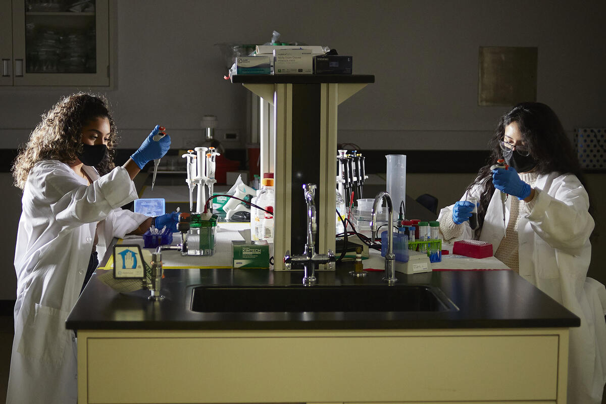 two women working in research lab