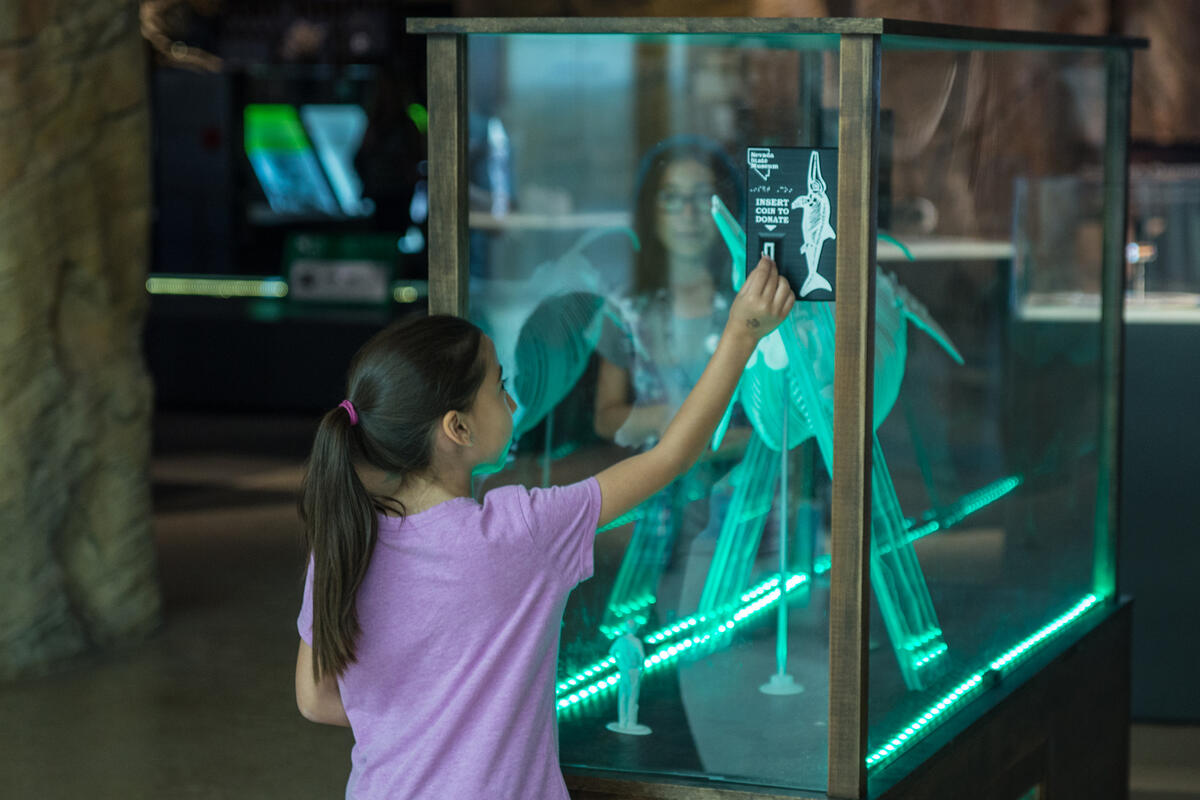A girl donates money to a box featuring a glowing ichthyosaur