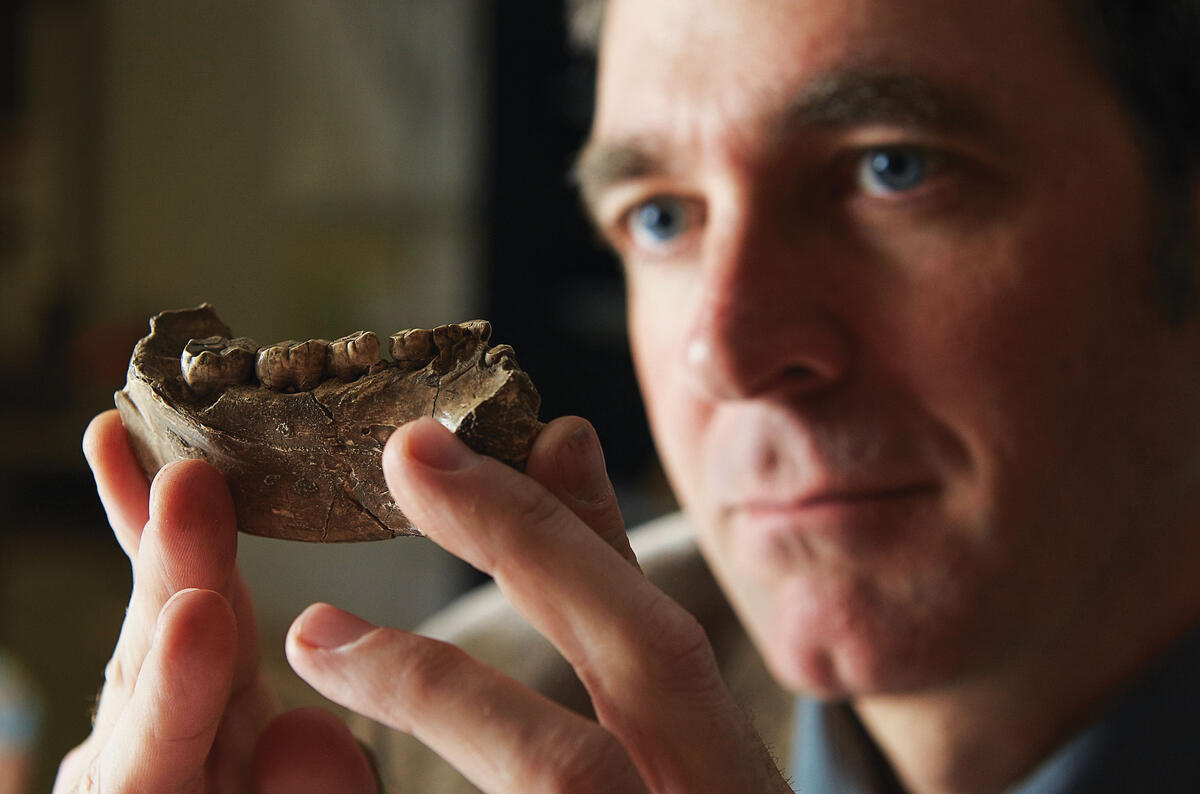 Brian Villmoare examines jawbone