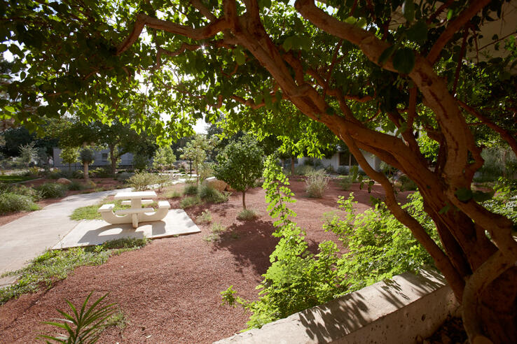 Learning Garden