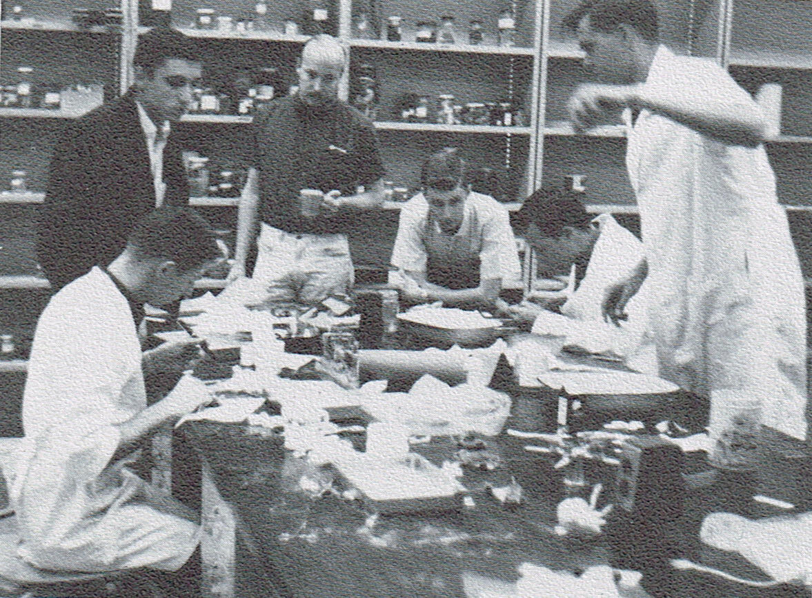 A group of students work in a lab.