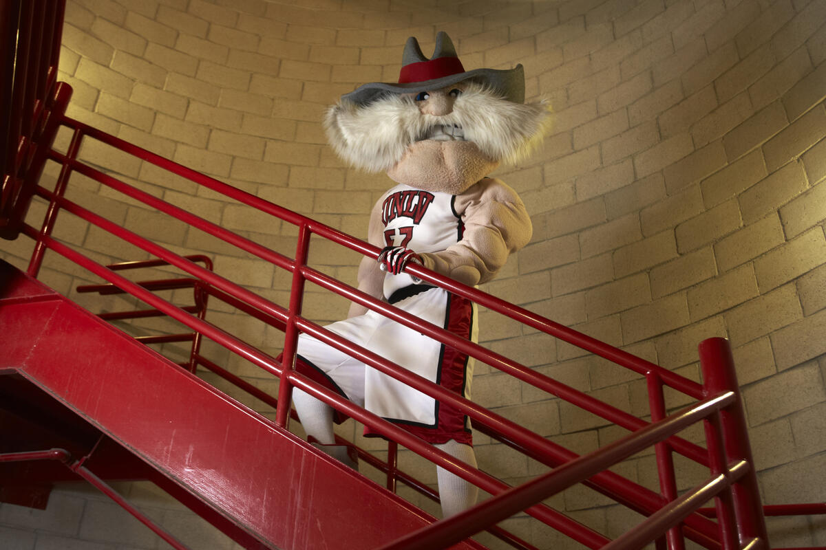 Mascot in stairwell