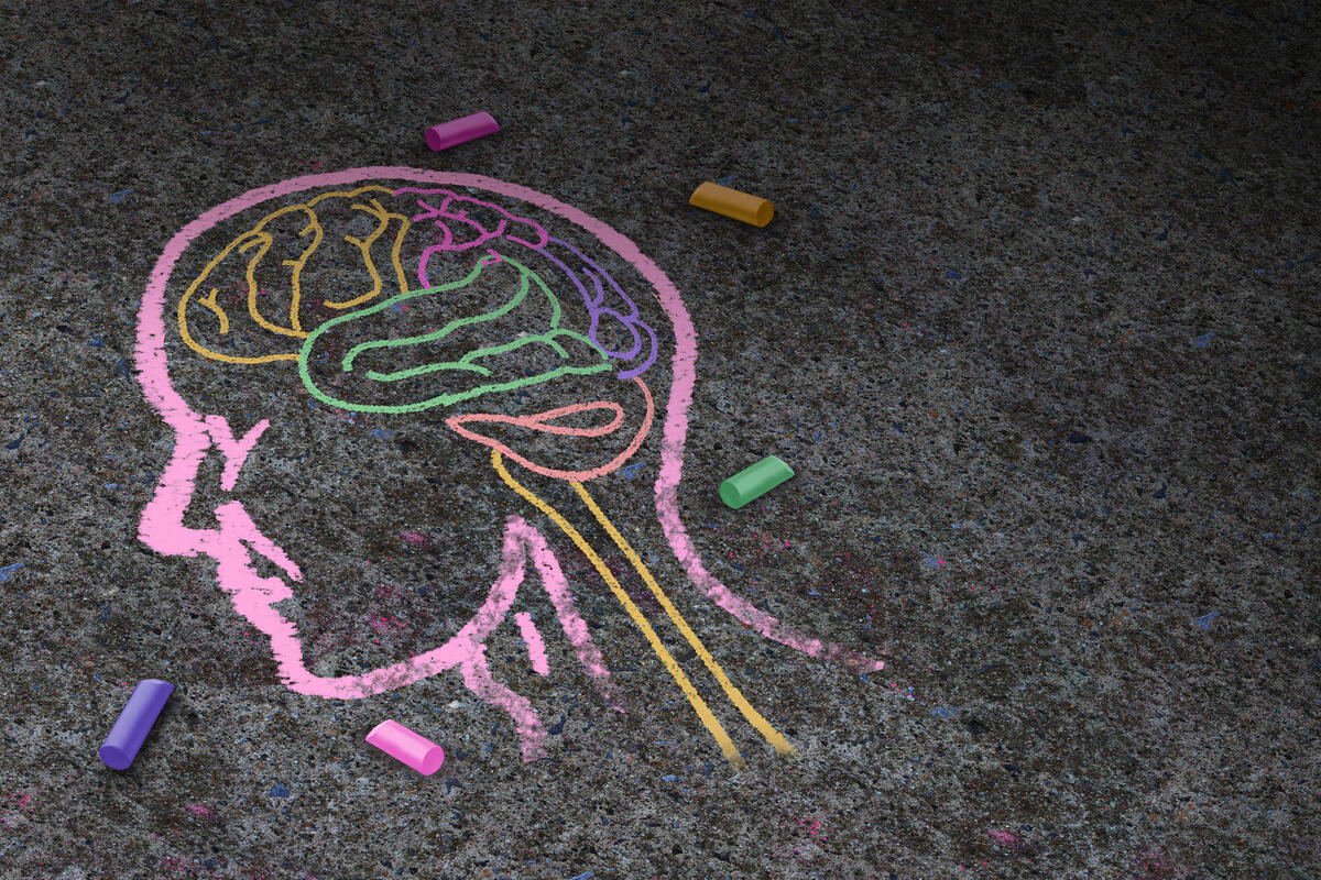 A chalk drawing of a brain