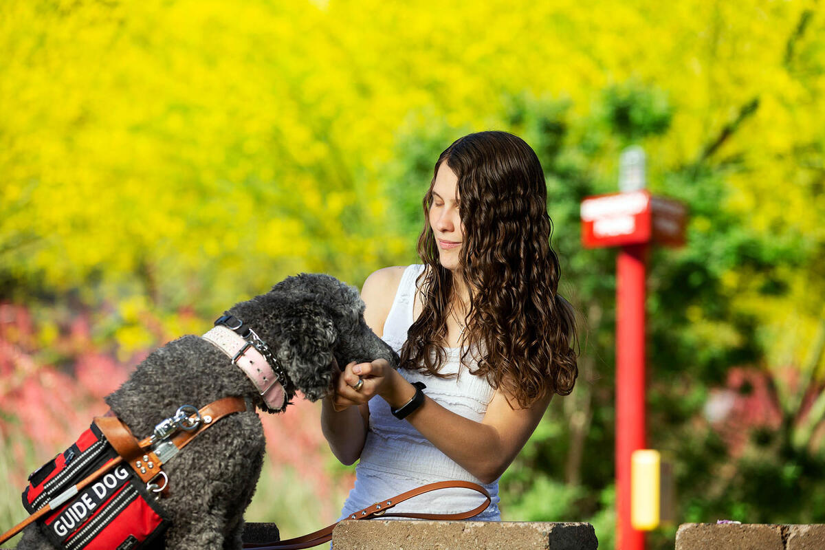 Girl petting a guide dog