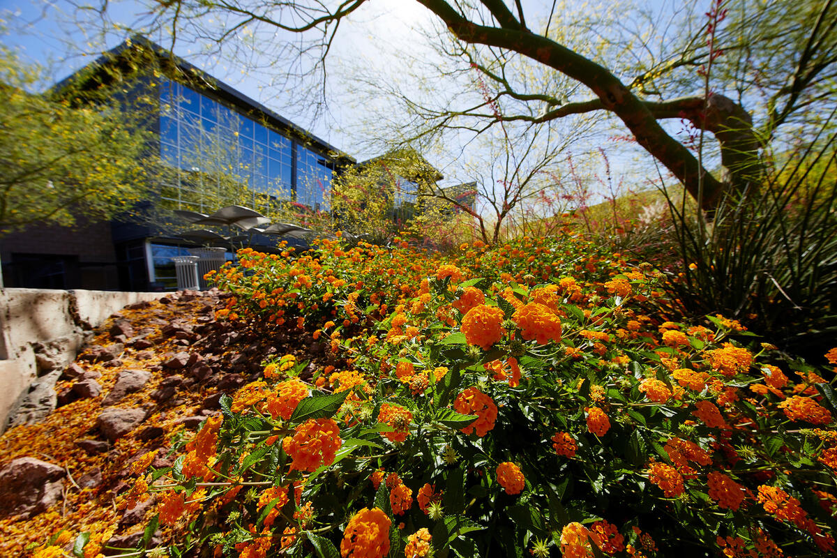 Exterior of Student Recreation & Wellness Center observing the growing orange flowers