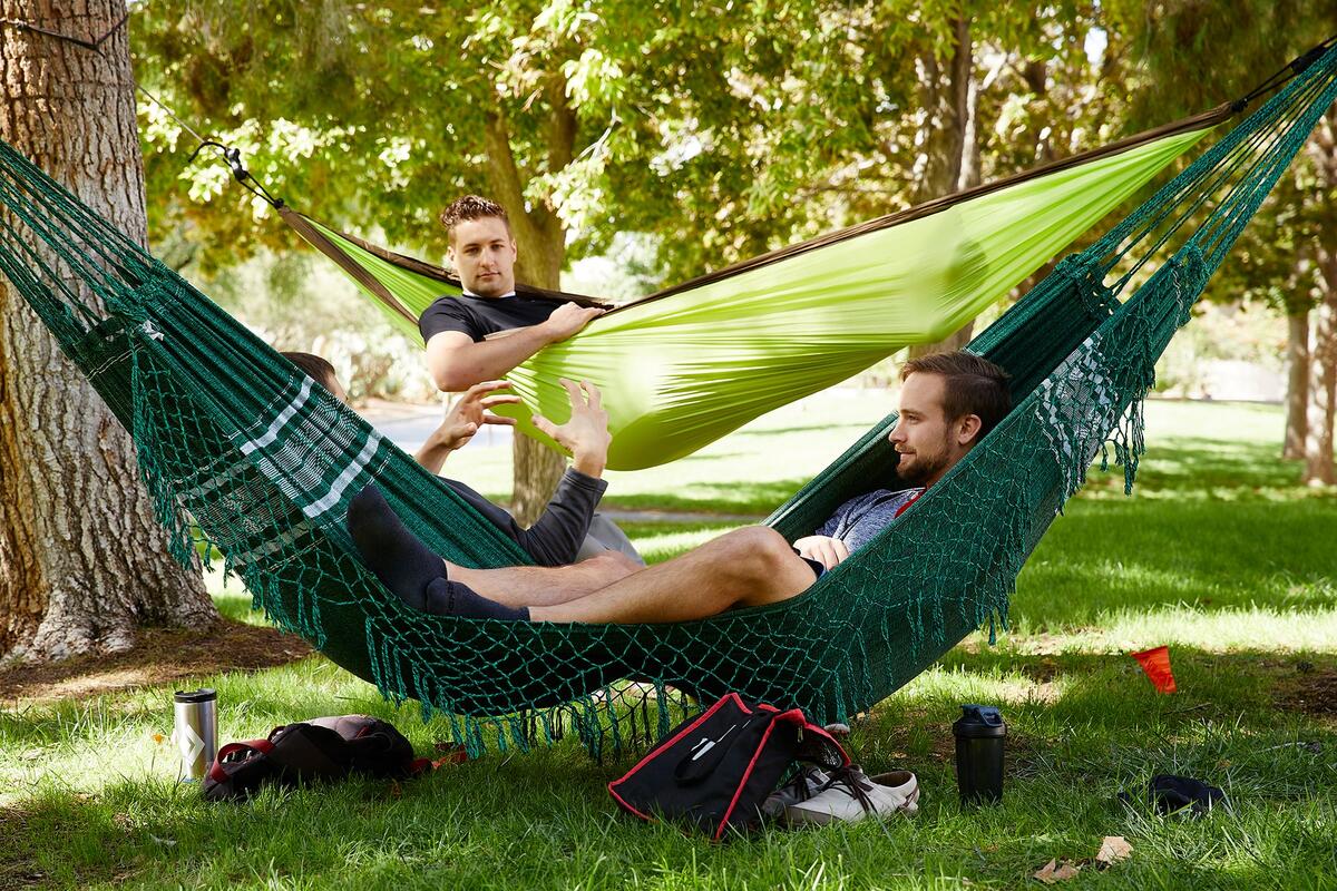 three student lounge in hammocks outside