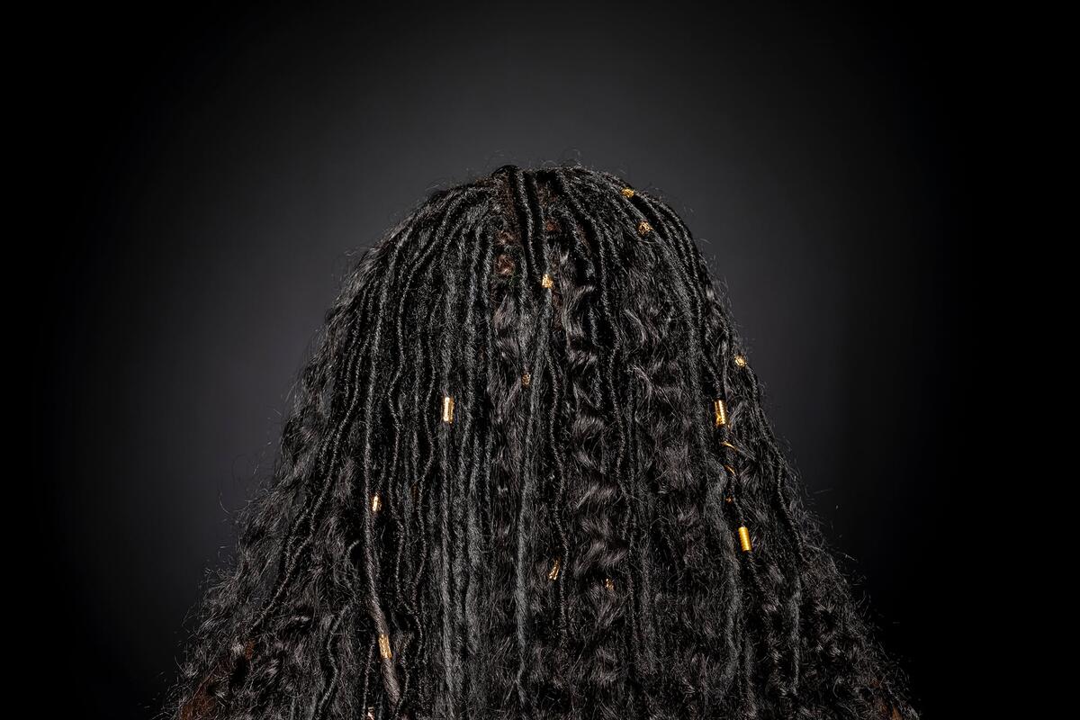 Back of person's head with long black braids