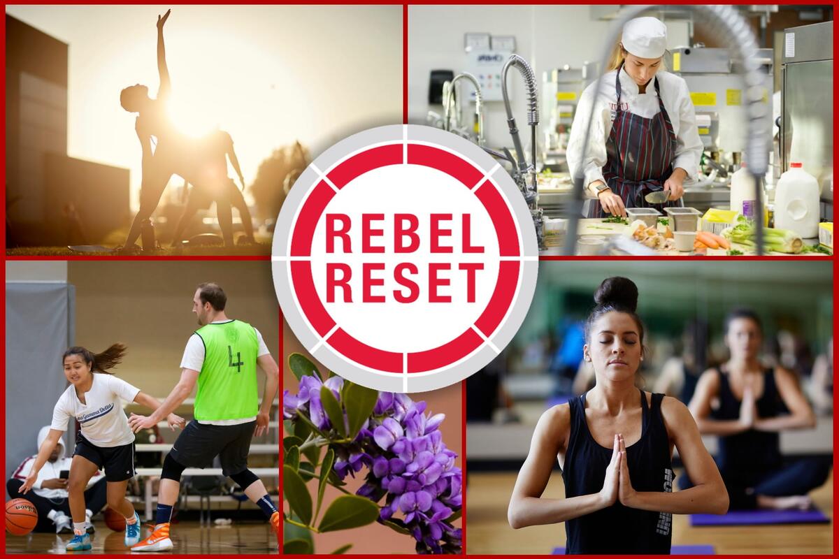 Collage of images of people doing various activities including yoga, cooking, and playing basketball