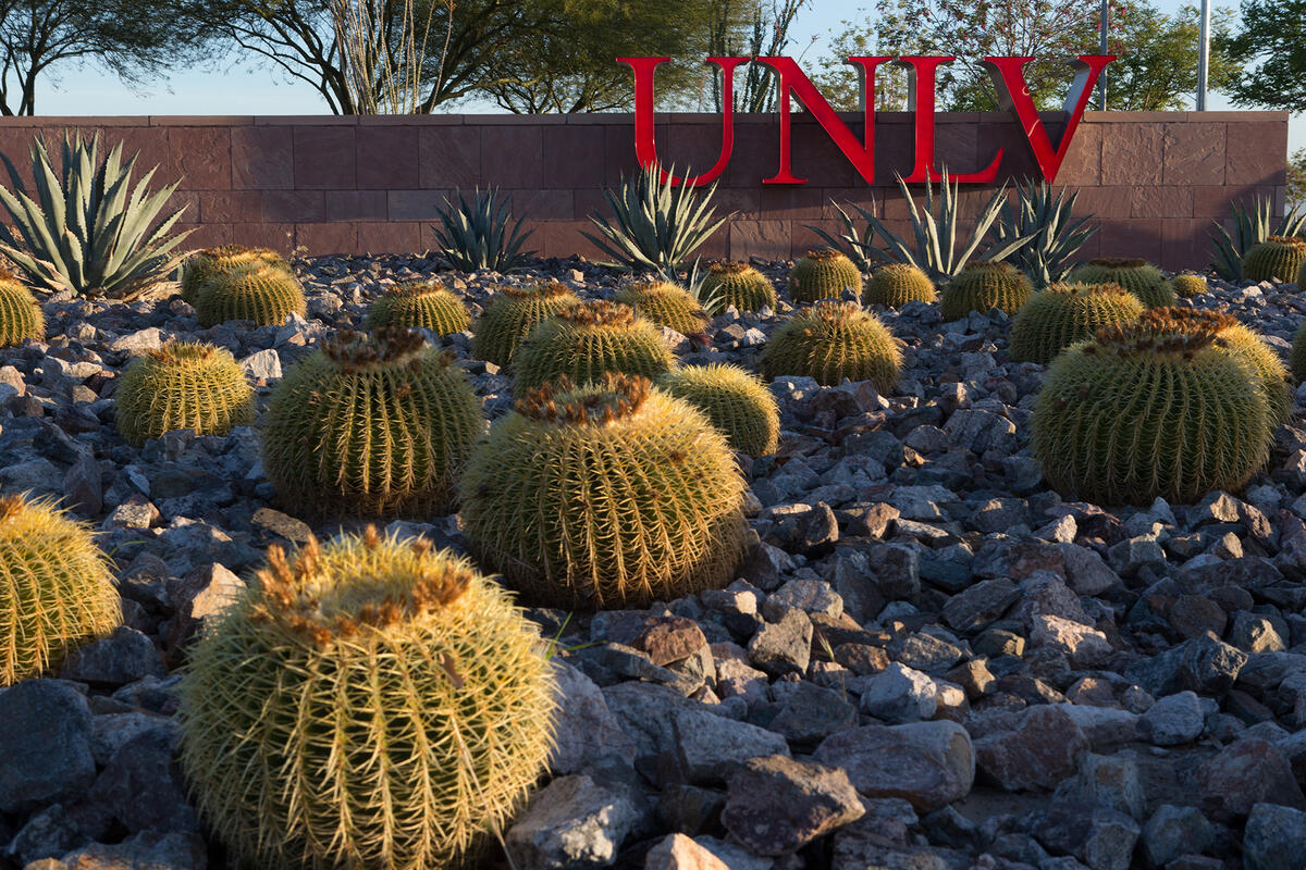 Cactus Garden with UNLV sign in background