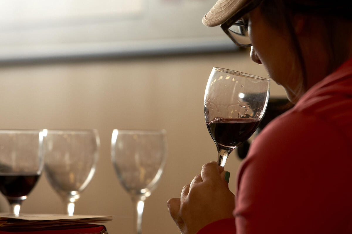 Profile of a person drinking wine at a table with multiple wine glasses in front of them.