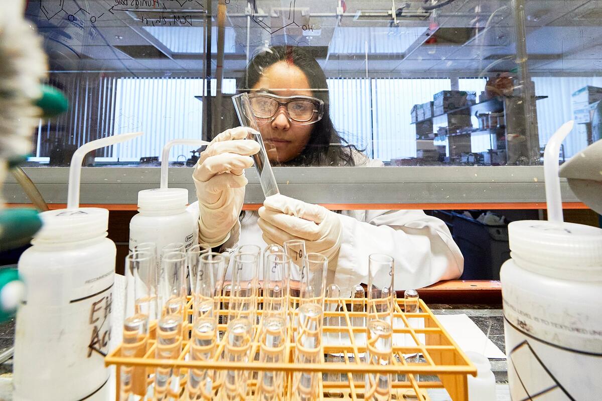 A postdoctoral scholar working in a lab collecting samples.