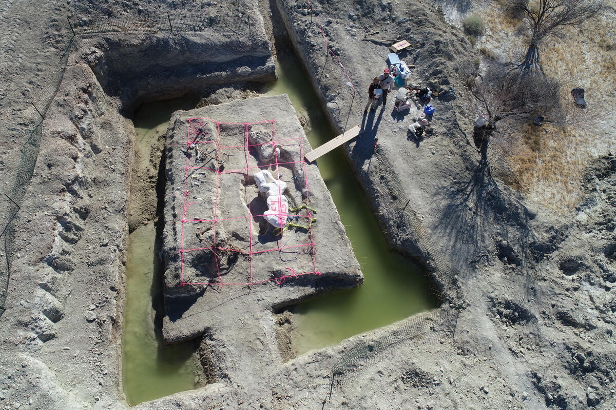Drone view of the excavation site.