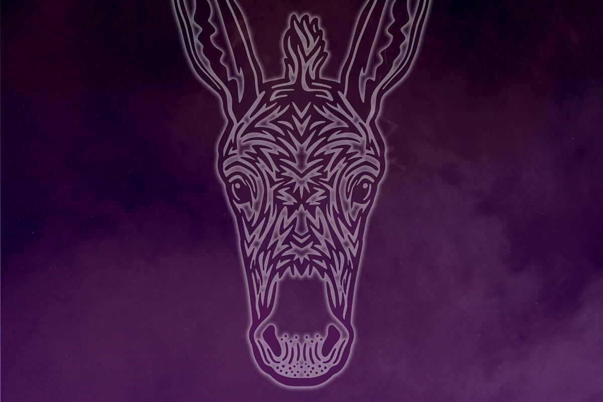 illustration of donkey head