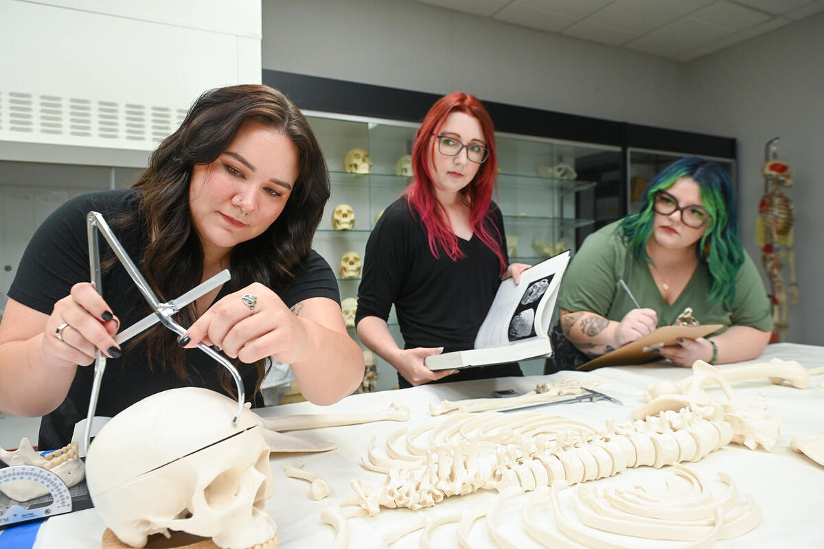 Students studying a human skeleton