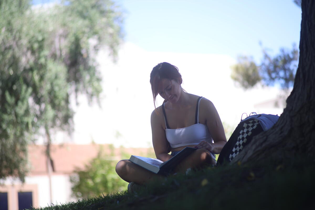 a female student sits in the grass by a tree reading a book