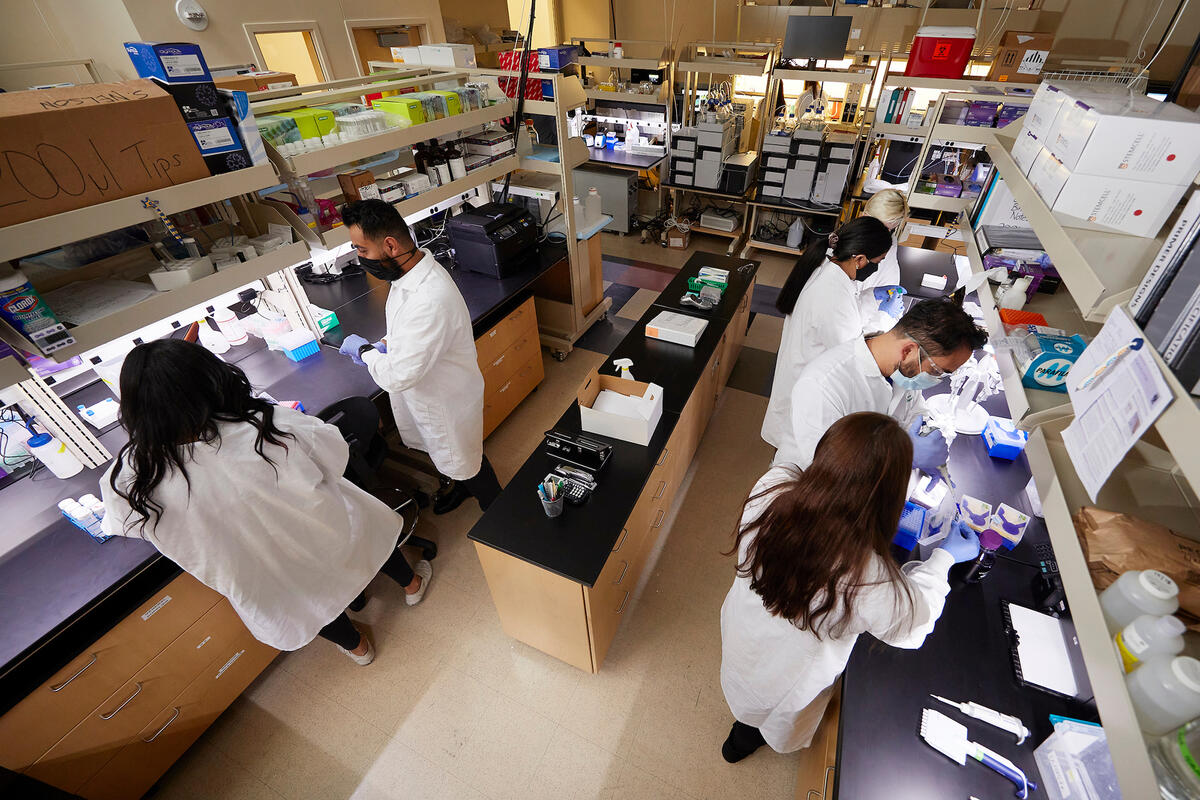 Group of researchers working in a lab