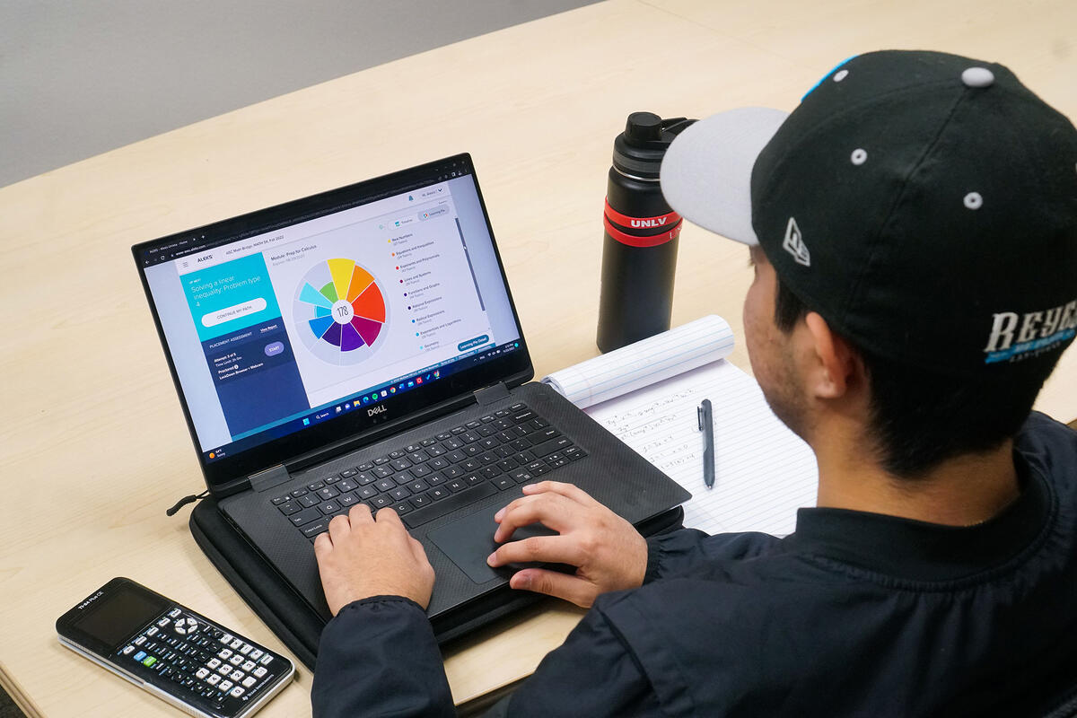 Student working on a laptop that is displaying a pie chart