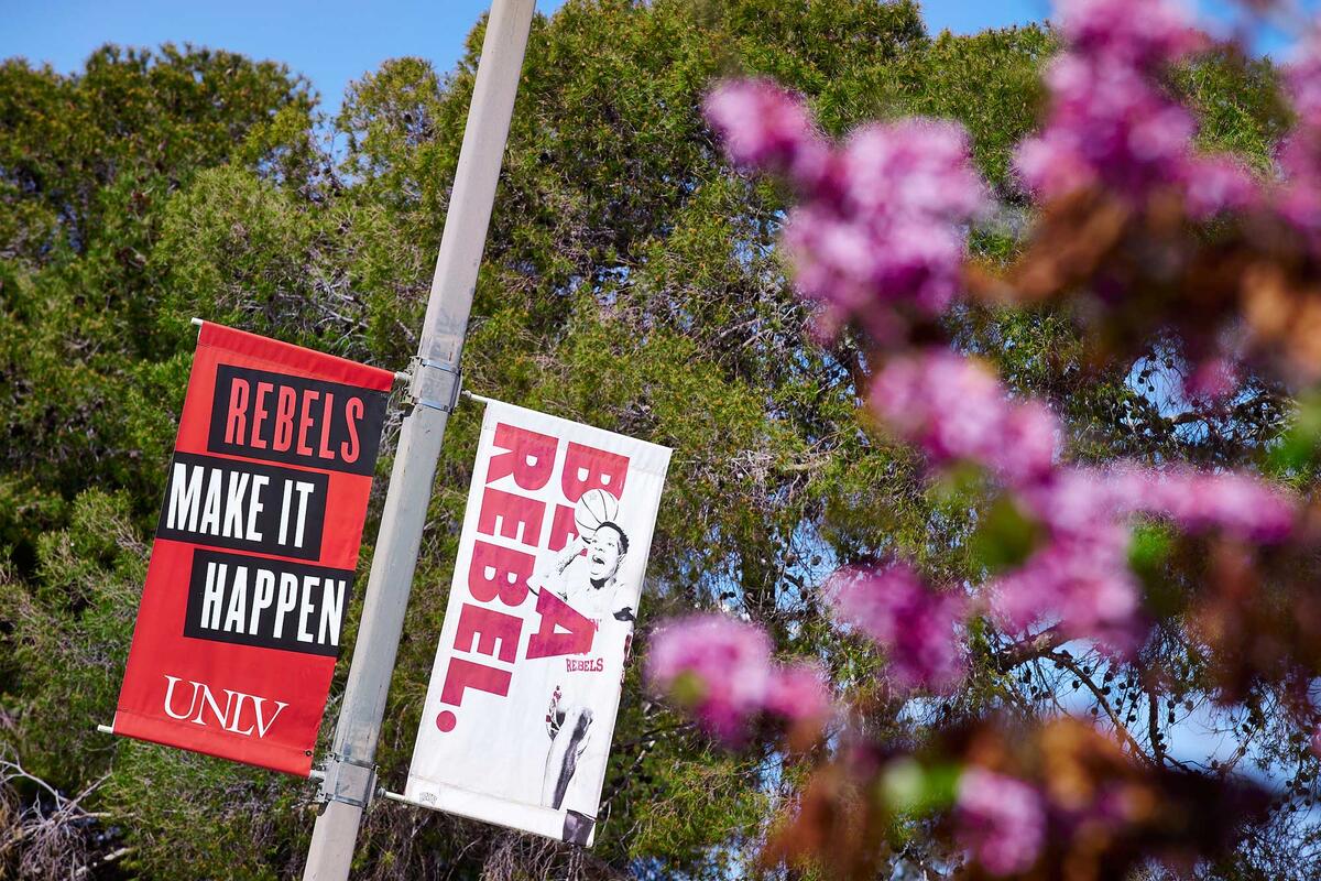 Rebels banners