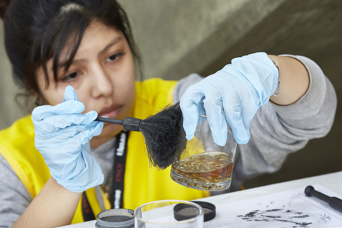 Dusting Evidence 