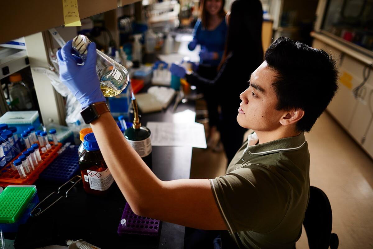 Student working in a research lab