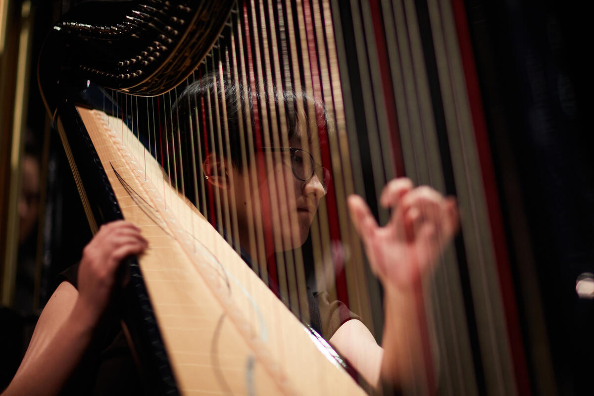 Person playing the harp