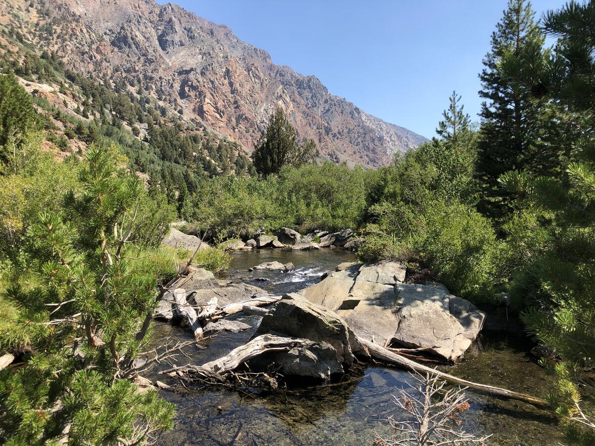 view of a dam with green pine trees 