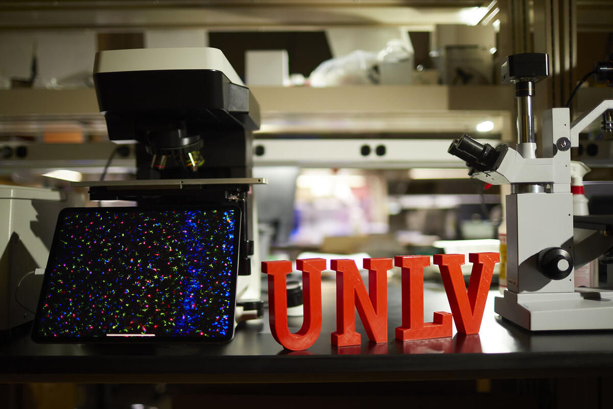 UNLV Letters