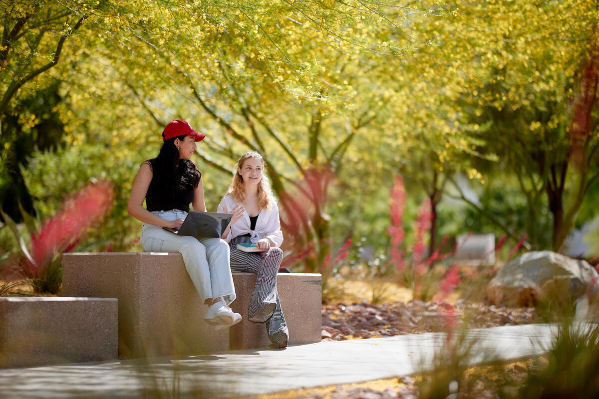 Two students talking to each other while sitting outside.