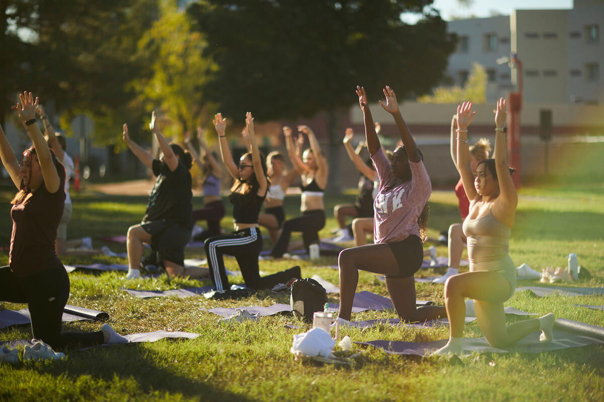A group of people doing yoga on a grass area on campus