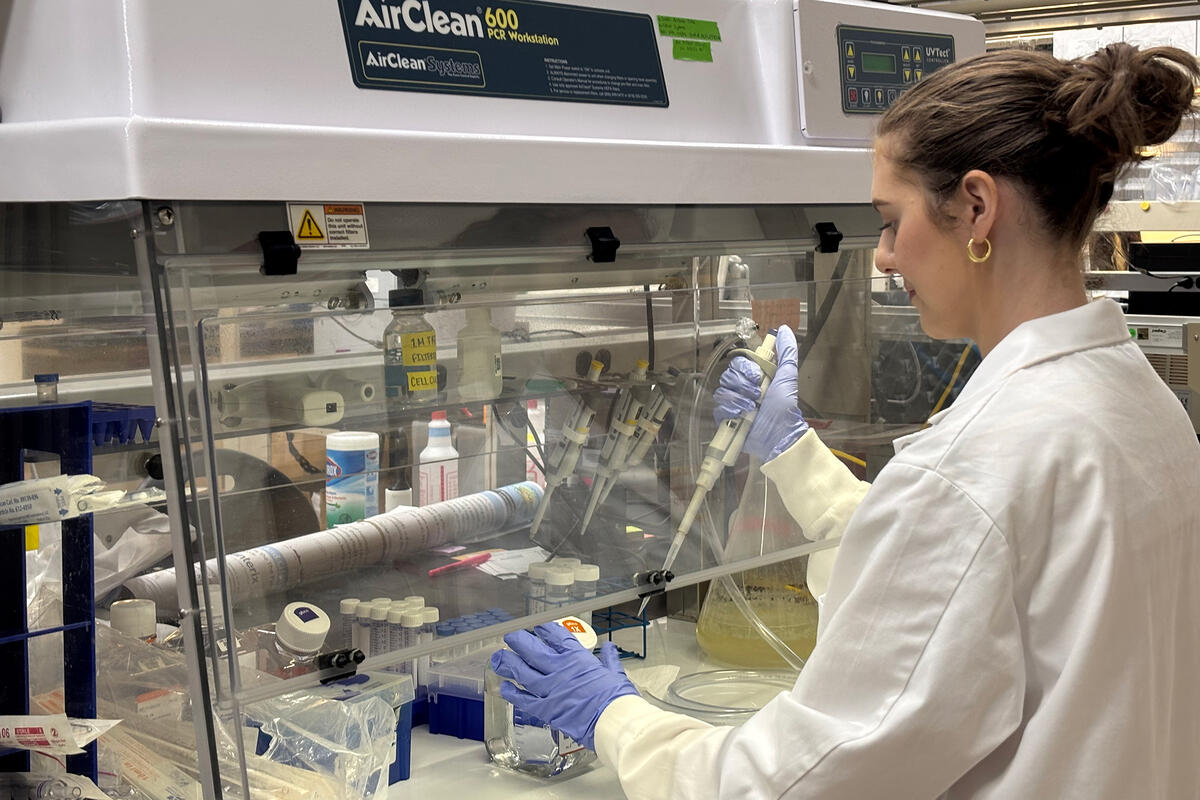 A person working on a lab table