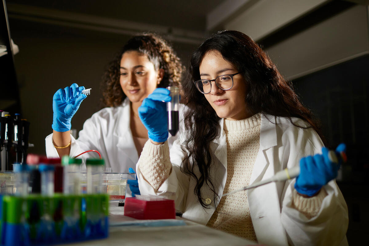 Two researchers in lab coats and gloves handle samples at a laboratory bench with test tubes and pipettes
