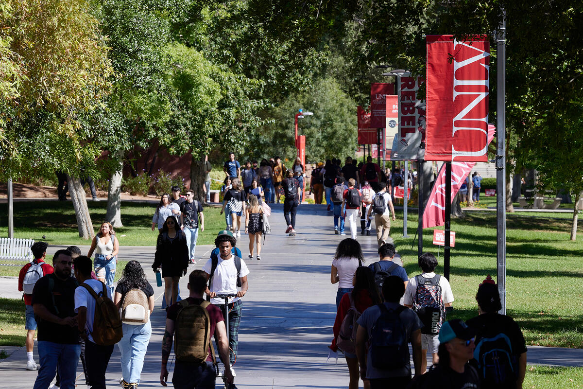 Students walk along a tree-lined pathway.