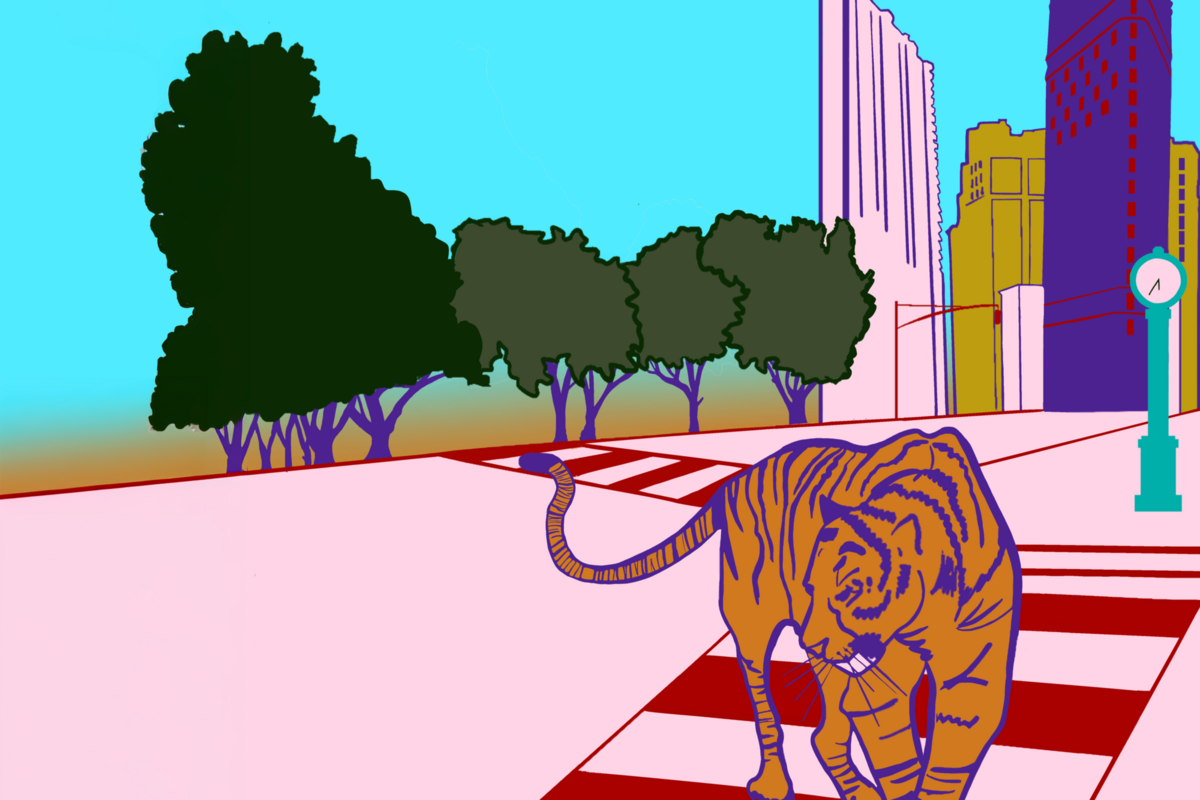 colorful illustration of a tiger