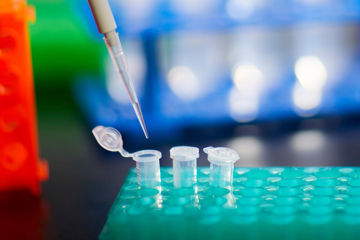 test tubes in a laboratory