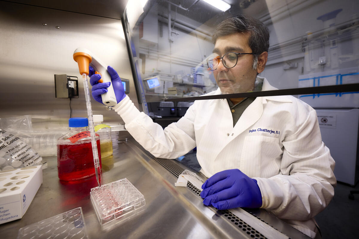 UNLV researcher in a lab