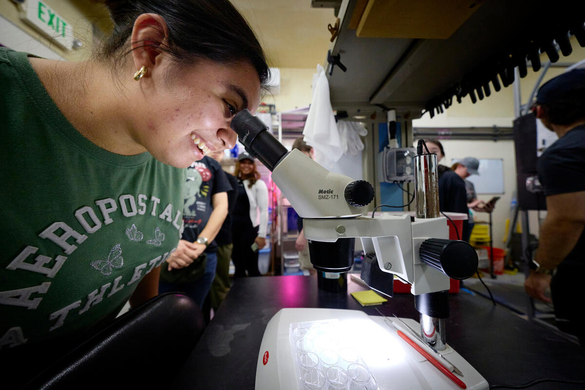 female student in green sweater looks through microscope