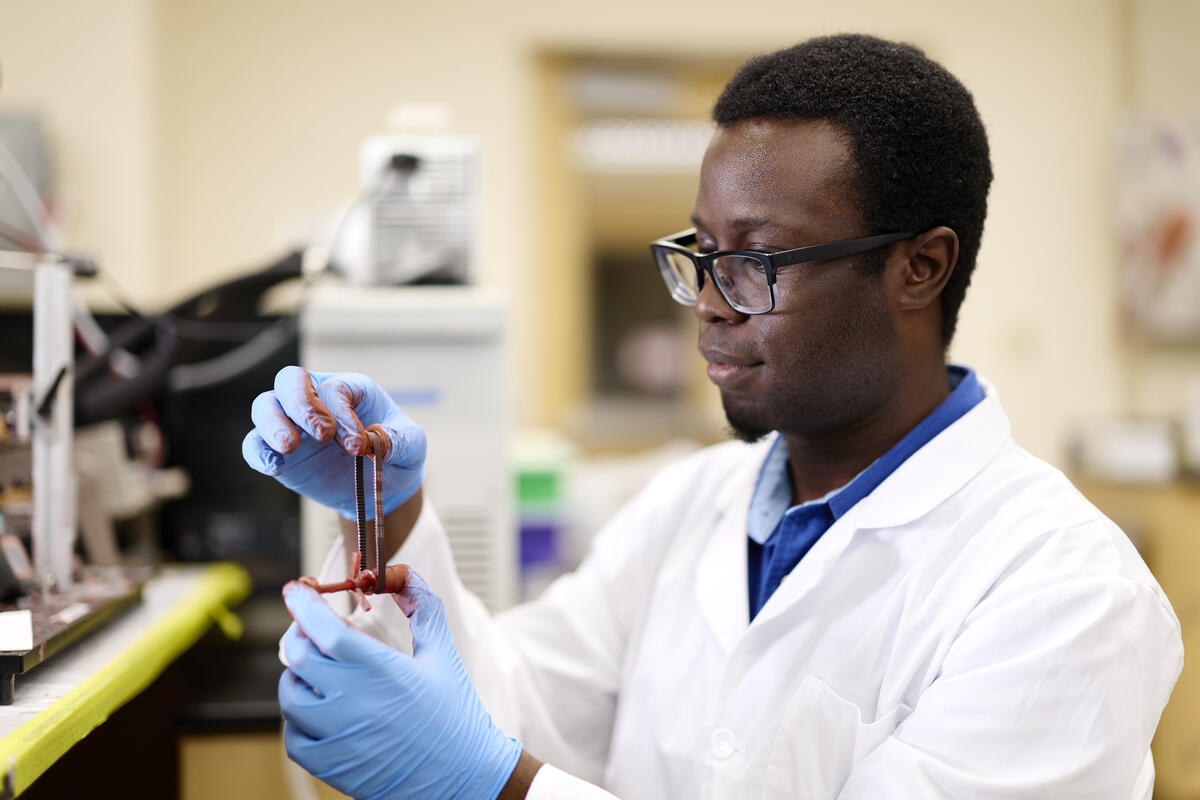 Man in a white coat and blue gloves using medical tools