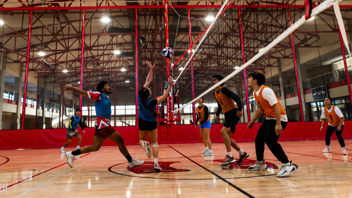 Photo of a volley ball game