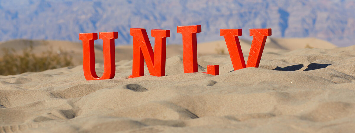 Letters that spell out U-N-L-V in the desert