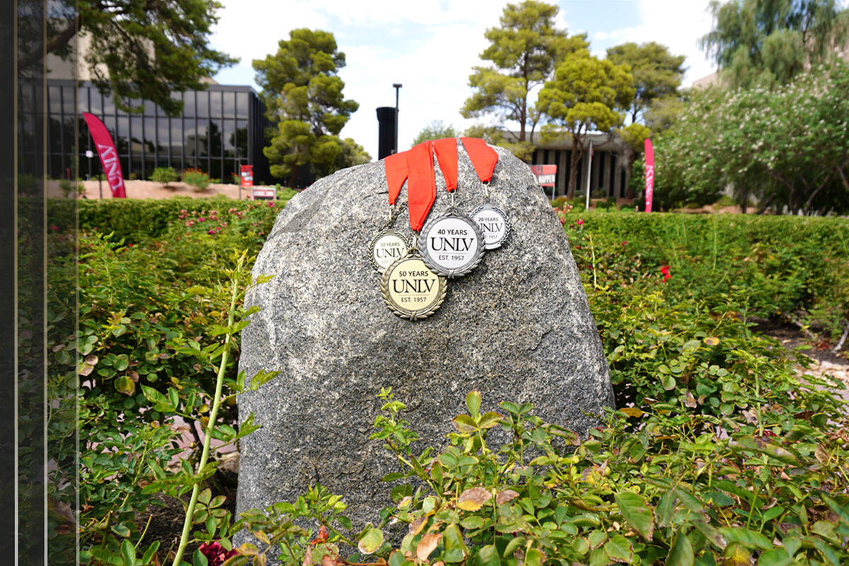 Four medals laid out on a rock on top surrounded by greenery