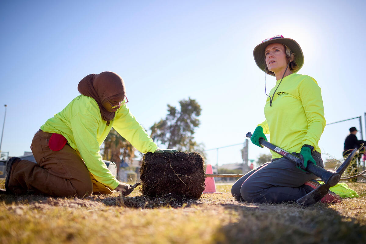 Two people planting trees into the ground