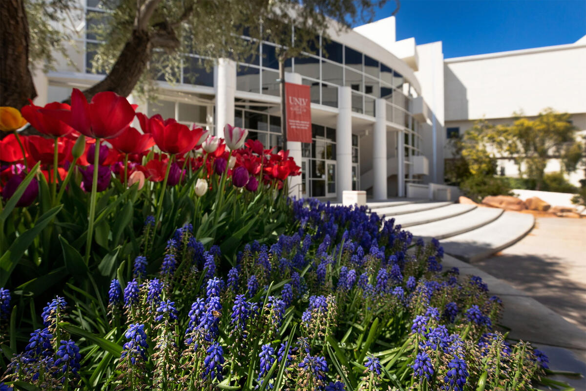 red and purple flowers in front of building