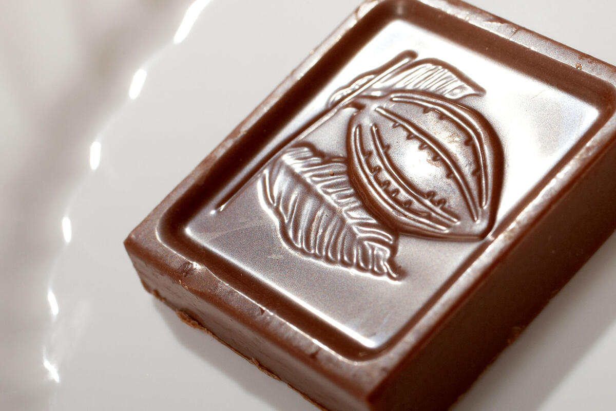 Square of chocolate on a plate.