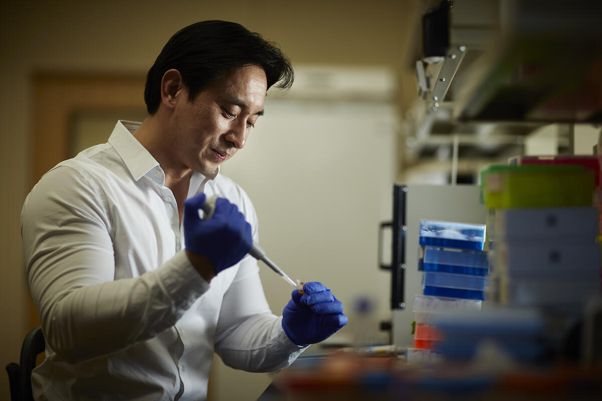 U.N.L.V. researcher Edwin Oh holds a pipette in his lab on campus