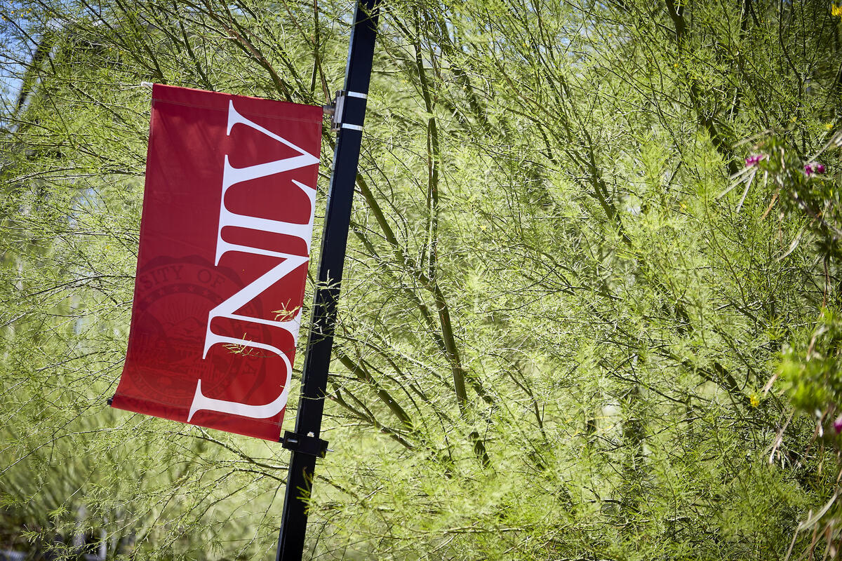UNLV pole banner with tree in background