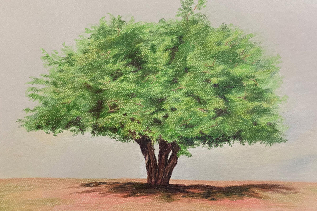 A pastel drawing of a tree