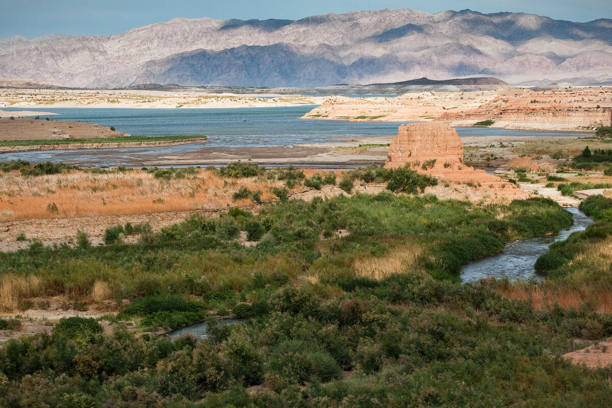 Lake Mead National Recreation Area
