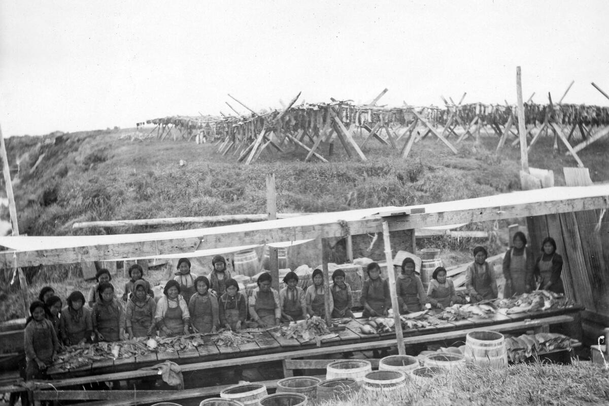 Indigenous women and girls cut fish at the Akulurak Jesuit mission boarding school summer fish camp in Alaska, circa late 1920s. (Jesuit Oregon Province Archives, Gonzaga University)