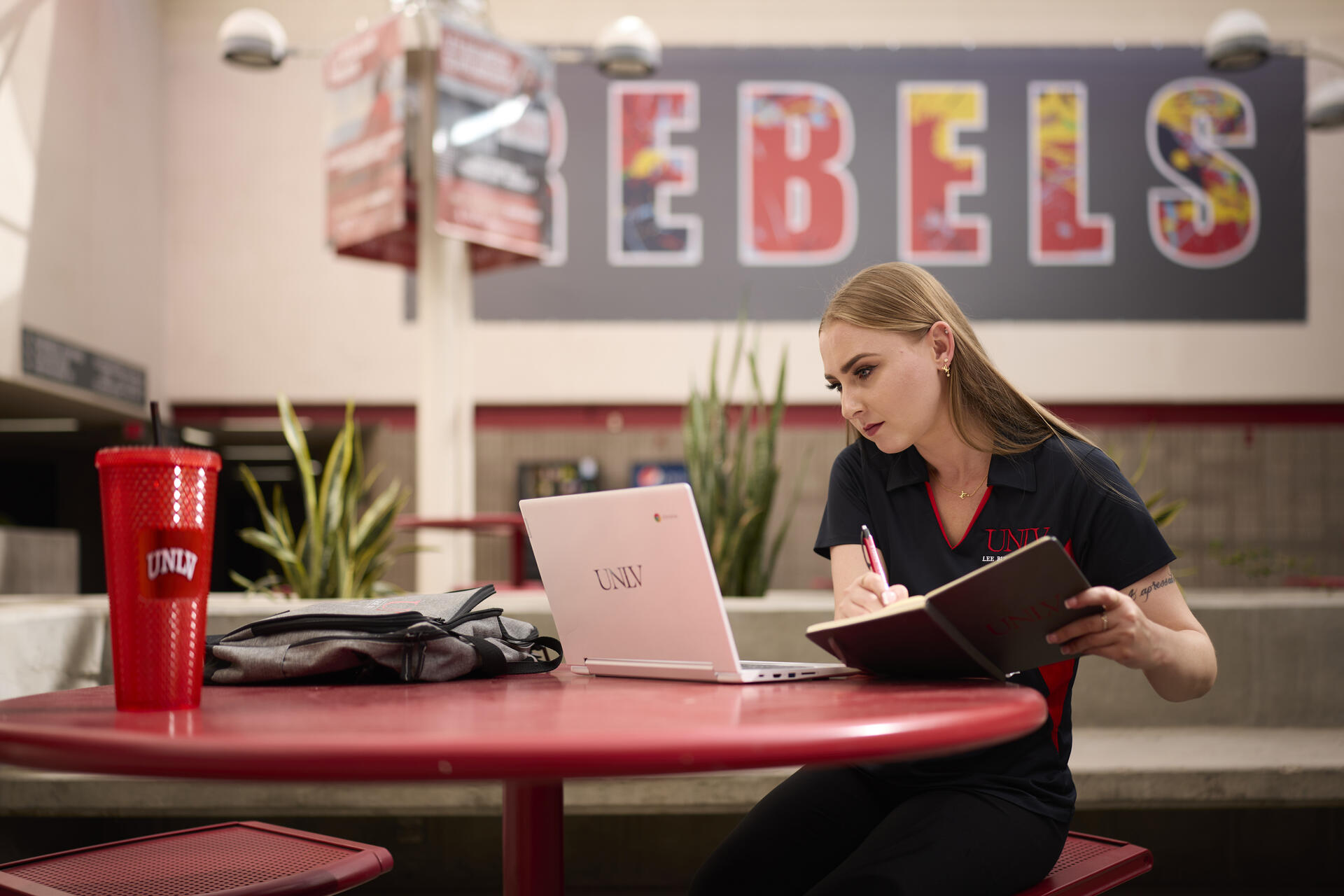 Counting on Success: The ROI of a UNLV Accounting Degree UNLV